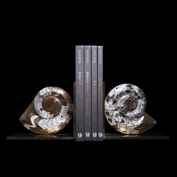 Reggilibro Destro con Goniatite - Small